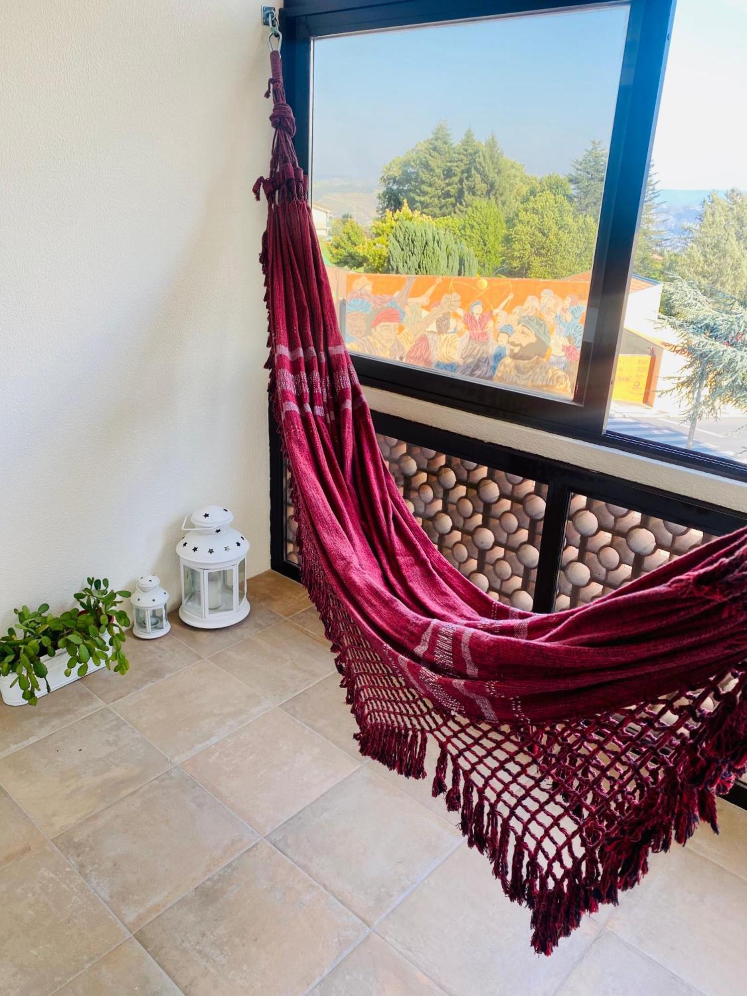Casa Da Tia Irene Διαμέρισμα Sabrosa Εξωτερικό φωτογραφία